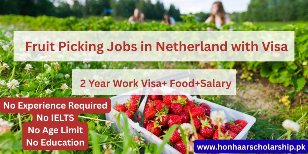 Fruit Picking jobs in Netherland