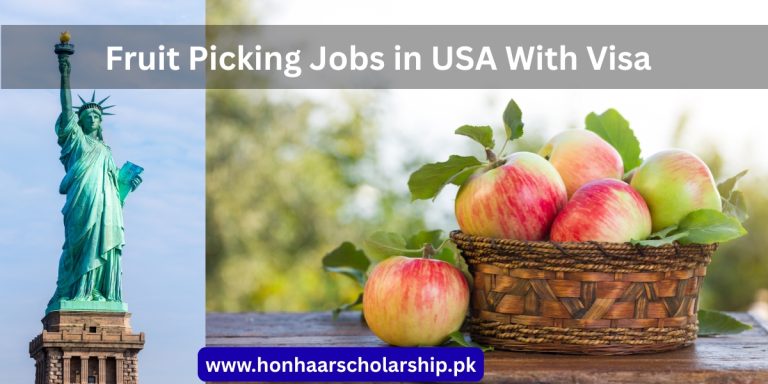 Fruit Picking Jobs in USA